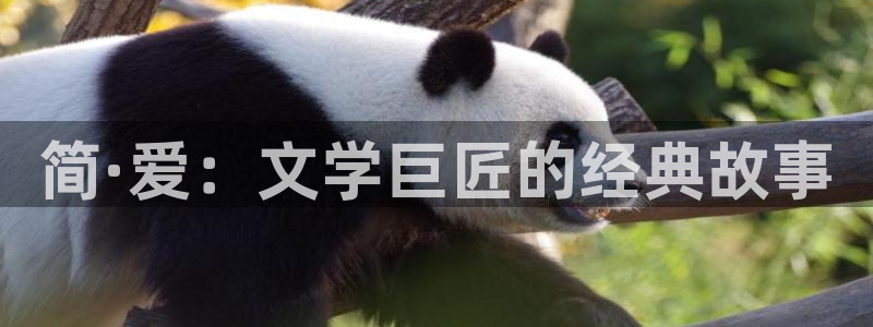 知轩藏书神秘复苏